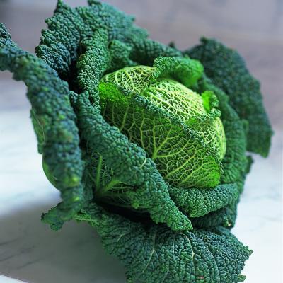 htc-ingredient-cabbage.jpg